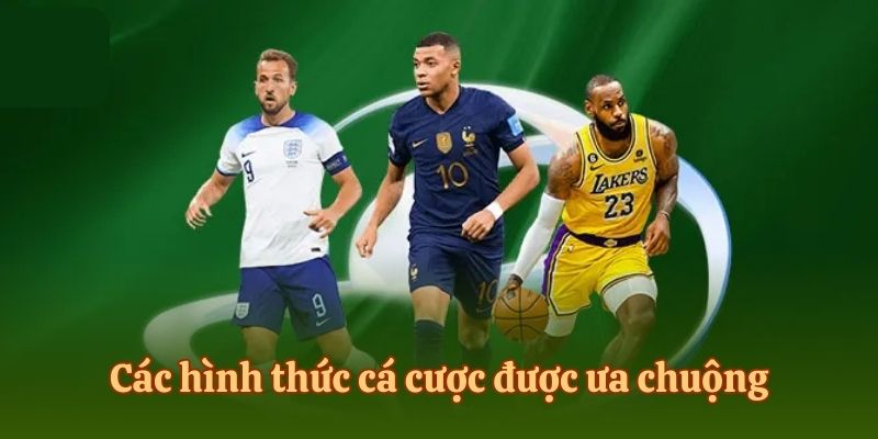 Điểm qua một vài hình thức cược sports được ưa chuộng