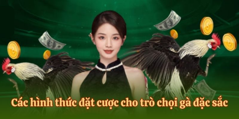 Các hình thức đặt cược cho trò chọi gà đặc sắc