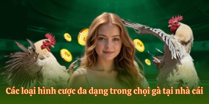 Các loại hình cược đa dạng trong chọi gà tại nhà cái