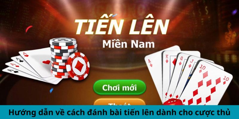 Hướng dẫn về cách đánh bài tiến lên dành cho cược thủ