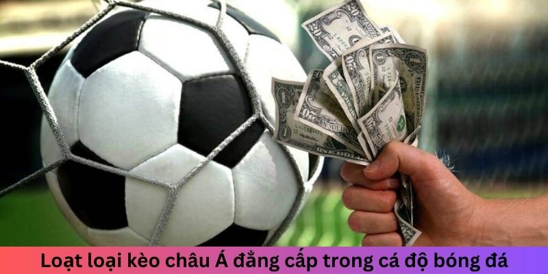 Loạt loại kèo châu Á đẳng cấp trong cá độ bóng đá